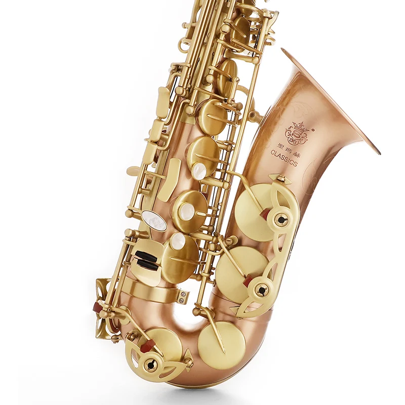 

SUMACH Classics pure alto Saxophone Beginner's grade examination performance