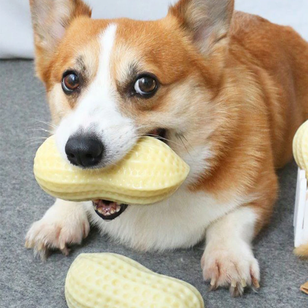 

Dog Cat Rubber Screaming Peanut Pet Interactive Toy Kitten Puppy Latex Toys Dogs Cat Squeak Chew Training Pet Accessories