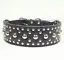 

Colors Leather Studded Dog Collar Large Dog Collar Pitbull Terrier Sizes M L