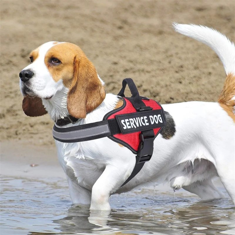 Шлейка для собак без тяги легко включена и выключена светоотражающая дышащая 3 м