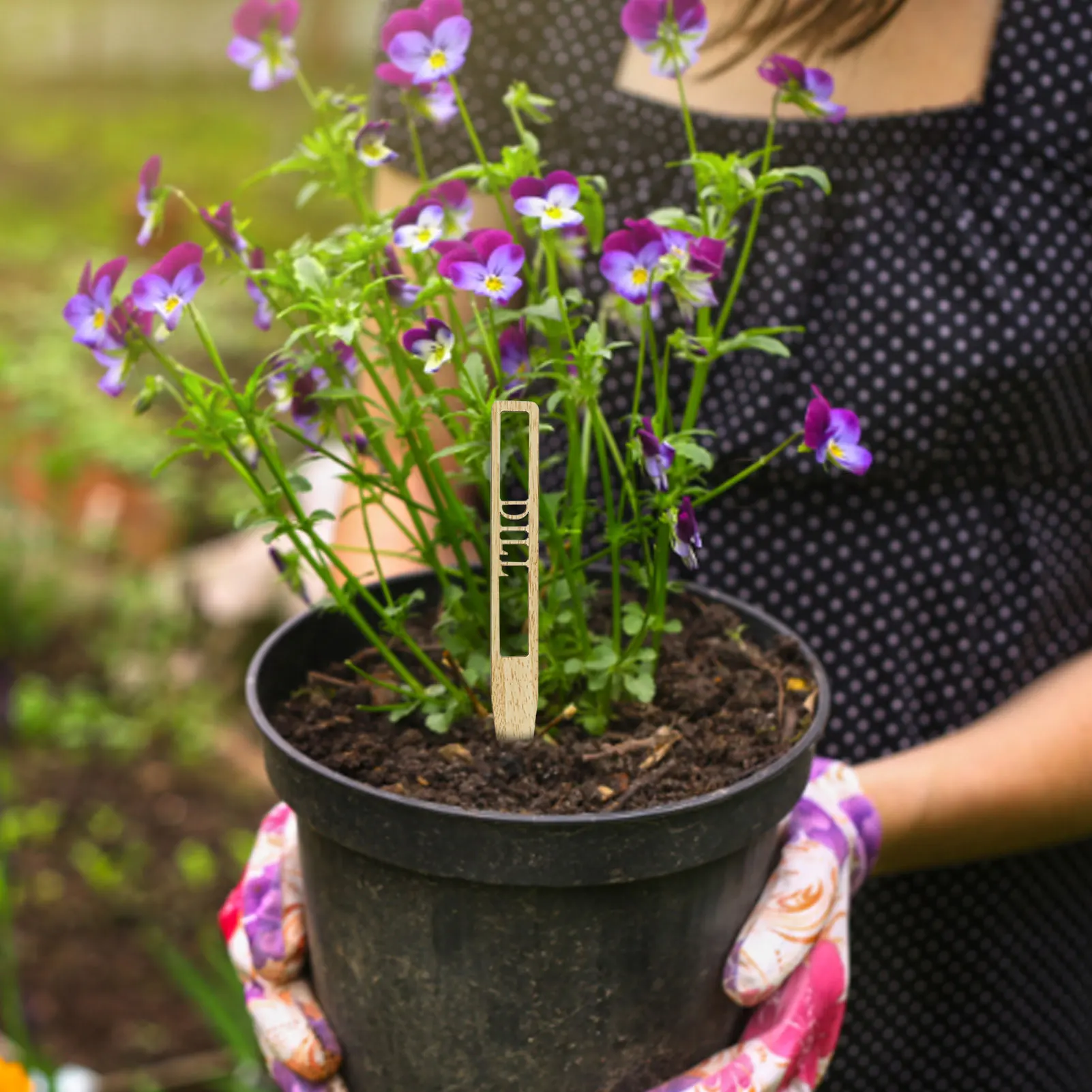 

12 PCS Wooden Plant Sign Tags Hollowed-Out Garden Markers Lettering Planter Tags Stakes For Seed Potted Herbs Flowers Vegetables