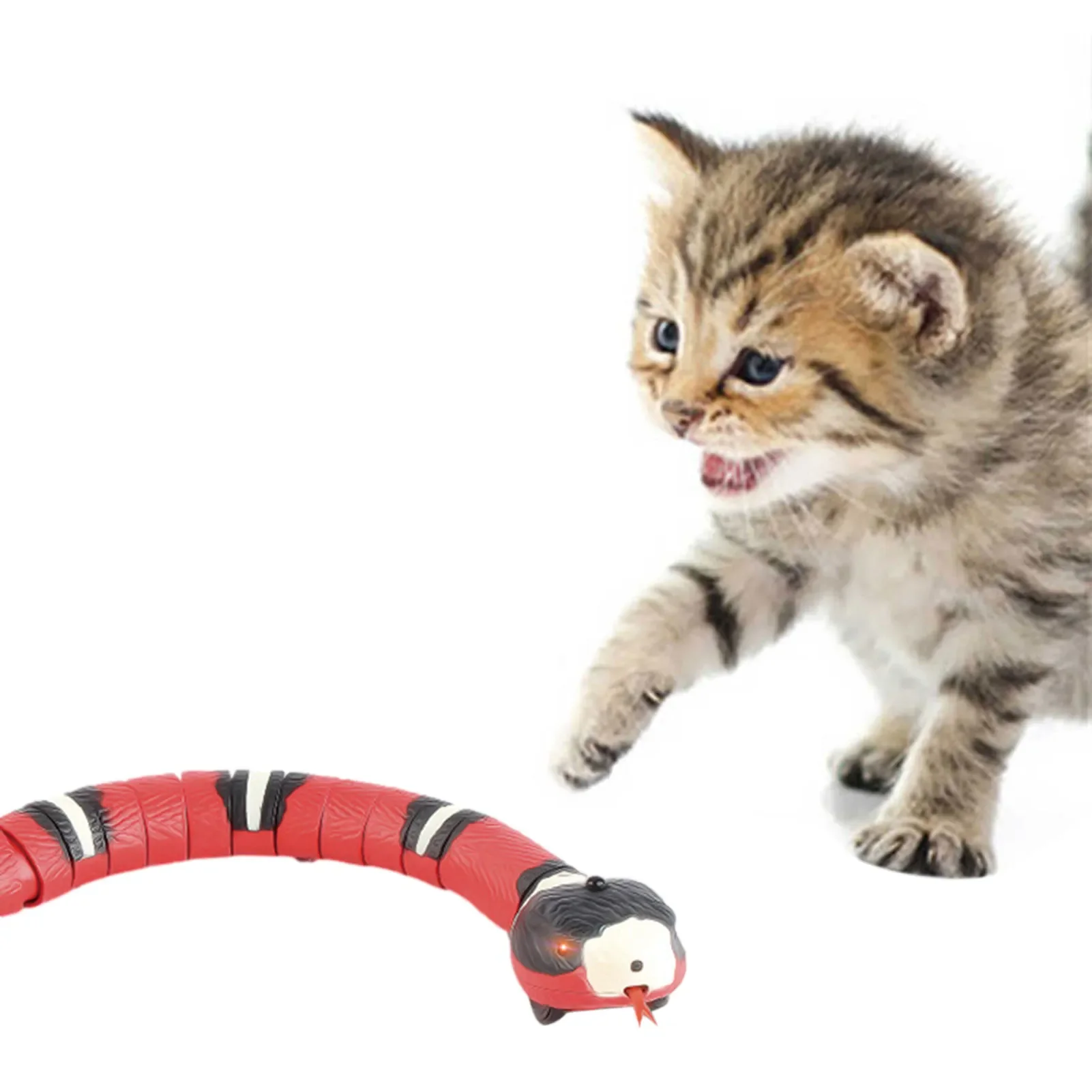 

Jouets créatifs à détection intelligente pour chat, serpent électrique interactif, chargement USB, jouets pour chats, chiens