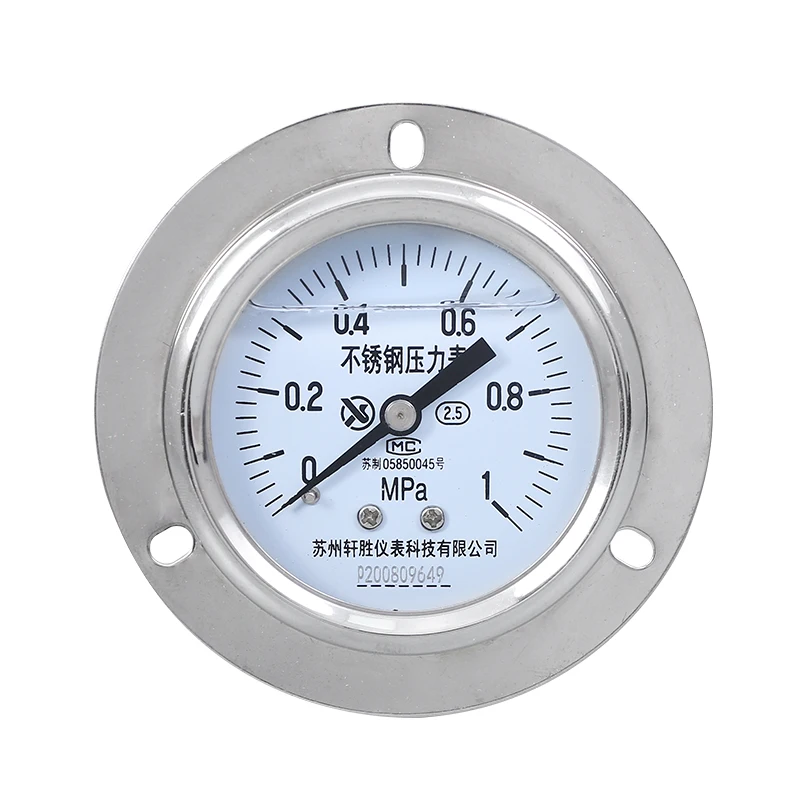 YNBF-60ZT 1MPa Axial edge stainless steel shock-resistant pressure gauge Stainless panel
