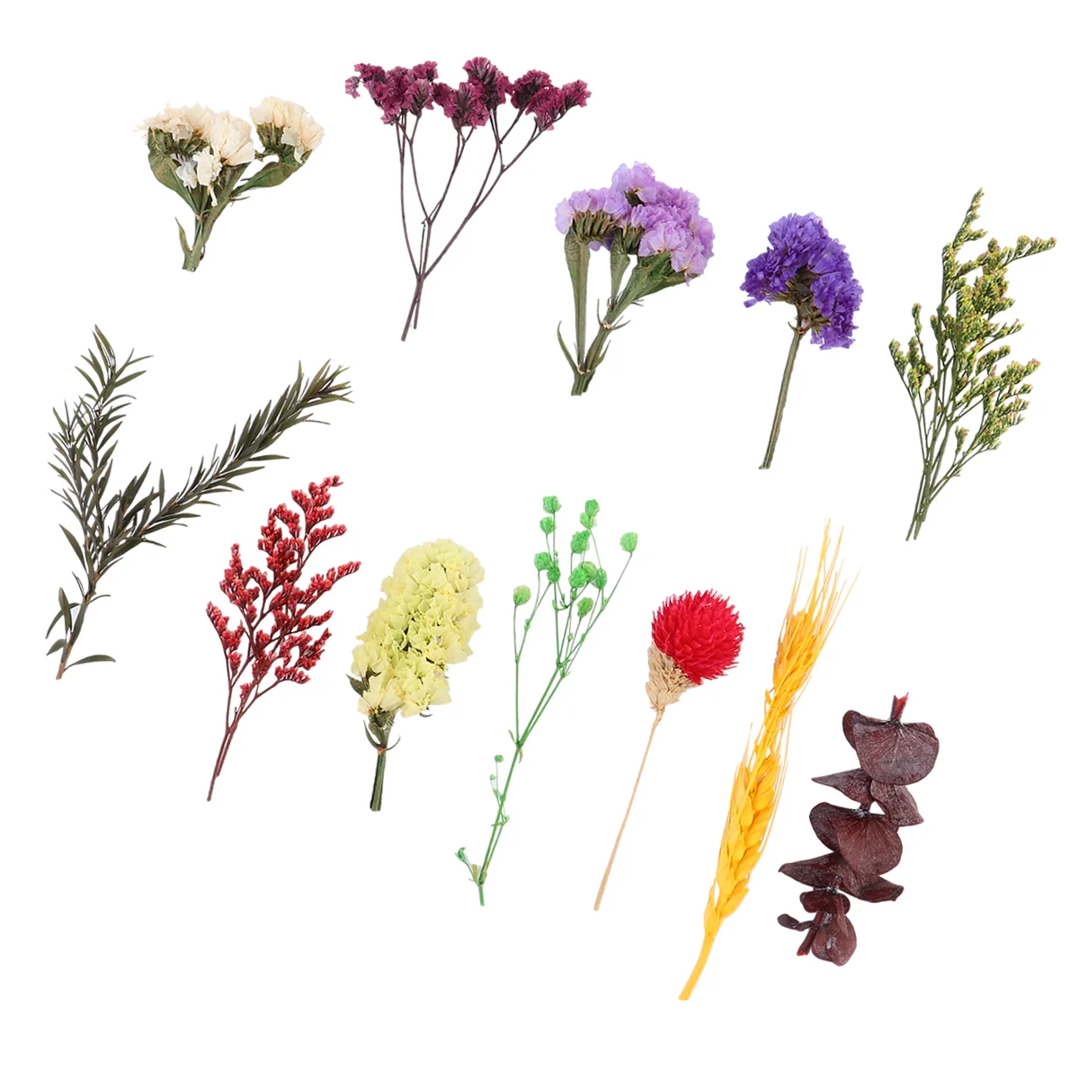 

Dried Flowers Pressed Flower Resin Real Making Soap Nail Leaves Kit Petals Crafts Scrapbooking Craft Jewelry Natural Nature