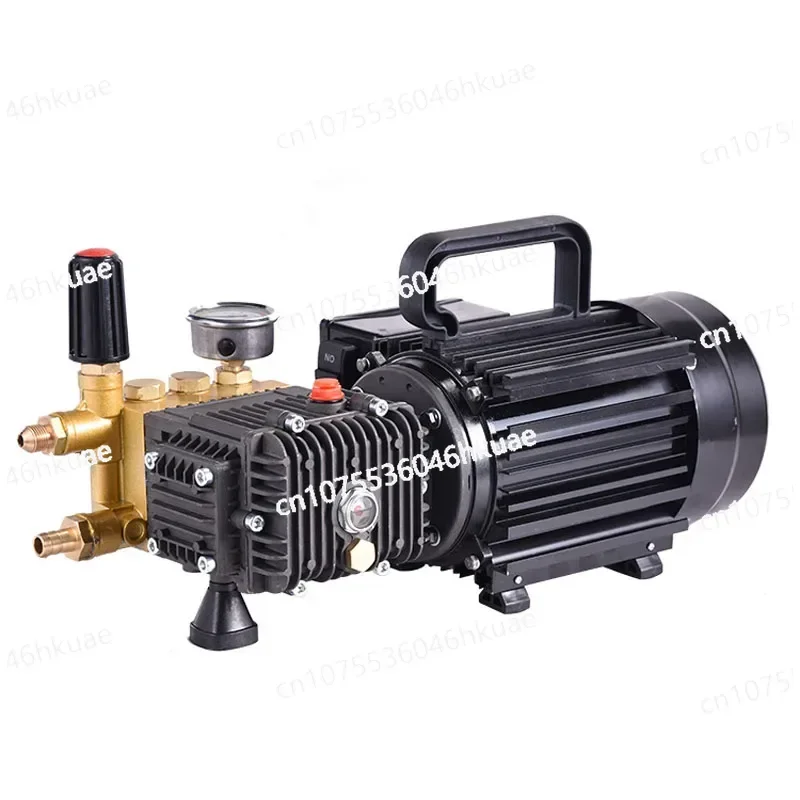 QL-390 Тройной плунжерный насос с латунным покрытием бытовая стиральная машина