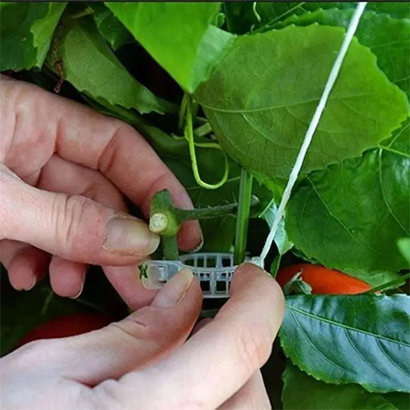 

Ушной крючок для фруктов, вишни, помидор, теплицы, зажим для фруктов, сада, овощей, фиксирующая Пряжка, крючок, зажимы для поддержки цветов, растений, стойка для посадки