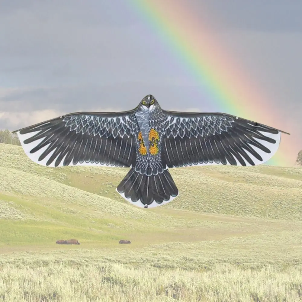 Спорт на открытом воздухе 1 м Eagle Kite с 30-метровой линией воздушного змея большой