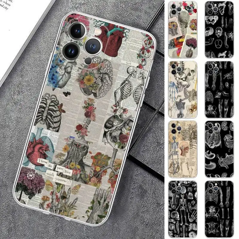

Medical Human Anatomy Phone Case For iPhone 14 13 12 Mini 11 Pro XS Max X XR SE 6 7 8 Plus Soft Silicone Cover