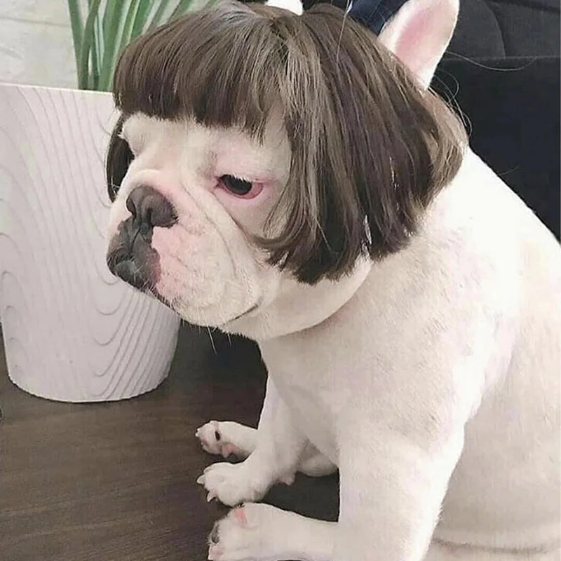 

French Bulldog Chihuahua Dogs Wig Hat Gift Cat Hat Wig Funny Cosplay Small Dog Pet Hair Funny Costumes Supplies for Dance Party