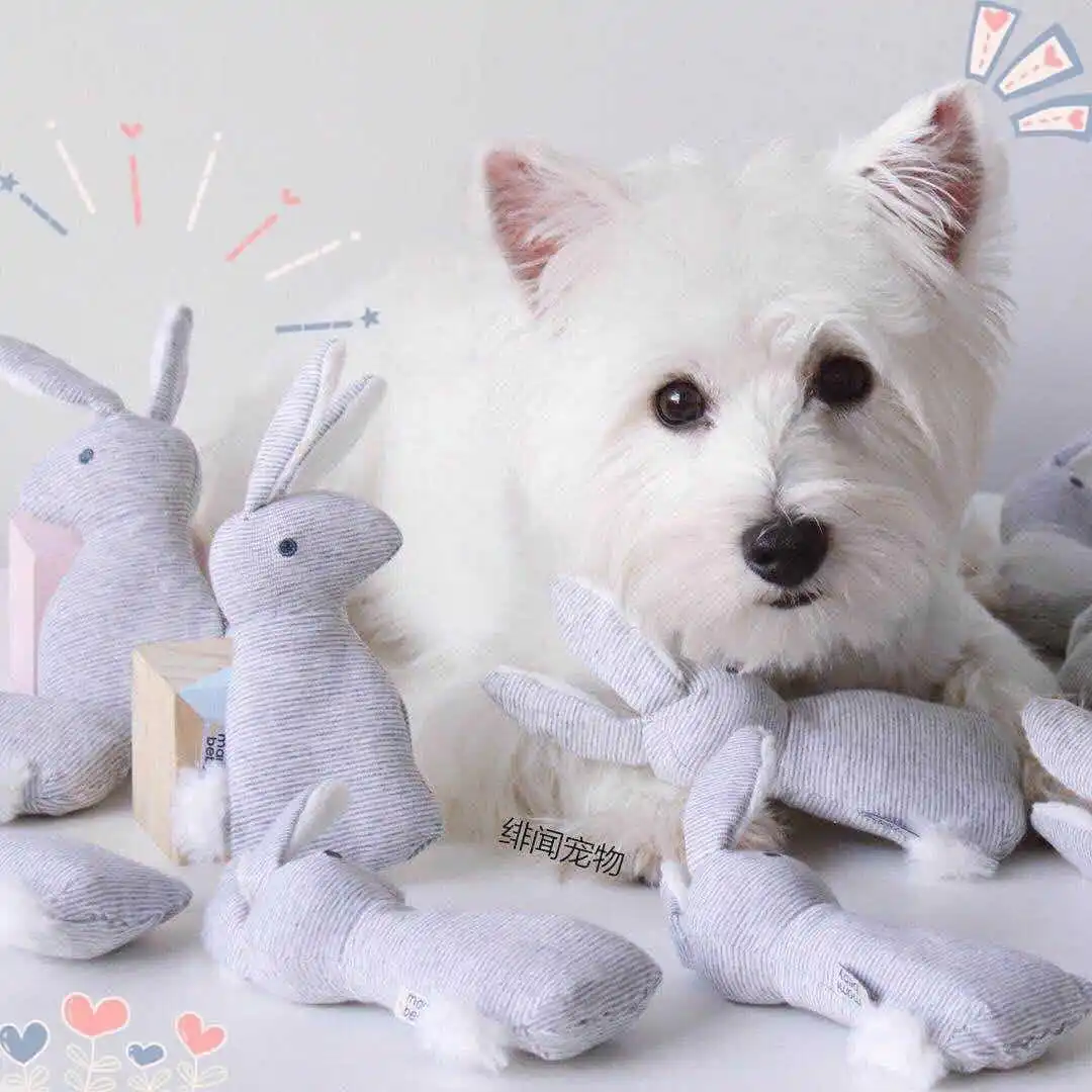 

Pet Squeaky Funny Dogs Animal Shape Toys Gift Set Large Rabbit Honking for Dogs Chew Bite Squeaker Dog Toys