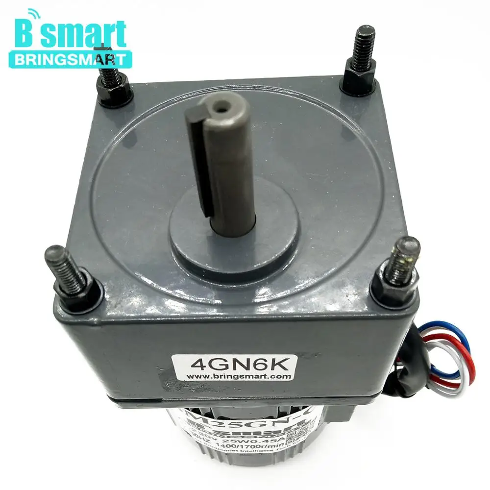 BringSmart 4M25GN-C 25 Вт 220 В небольшой электродвигатель переменного тока 200 об/мин