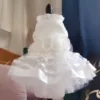 Pet Clothes White Color Pet Supplies Fashion Lace Dog Wedding Dress Princess Dress Dog Accessories Dog Clothes Dog Dress Up Tool 1