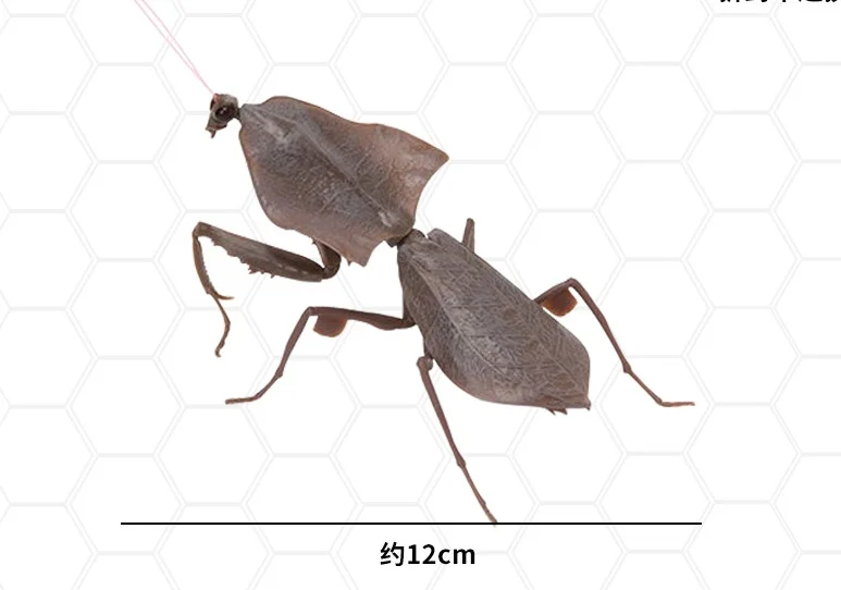 Фигурки насекомых Bandai Deroplatys Brancsikia Series02