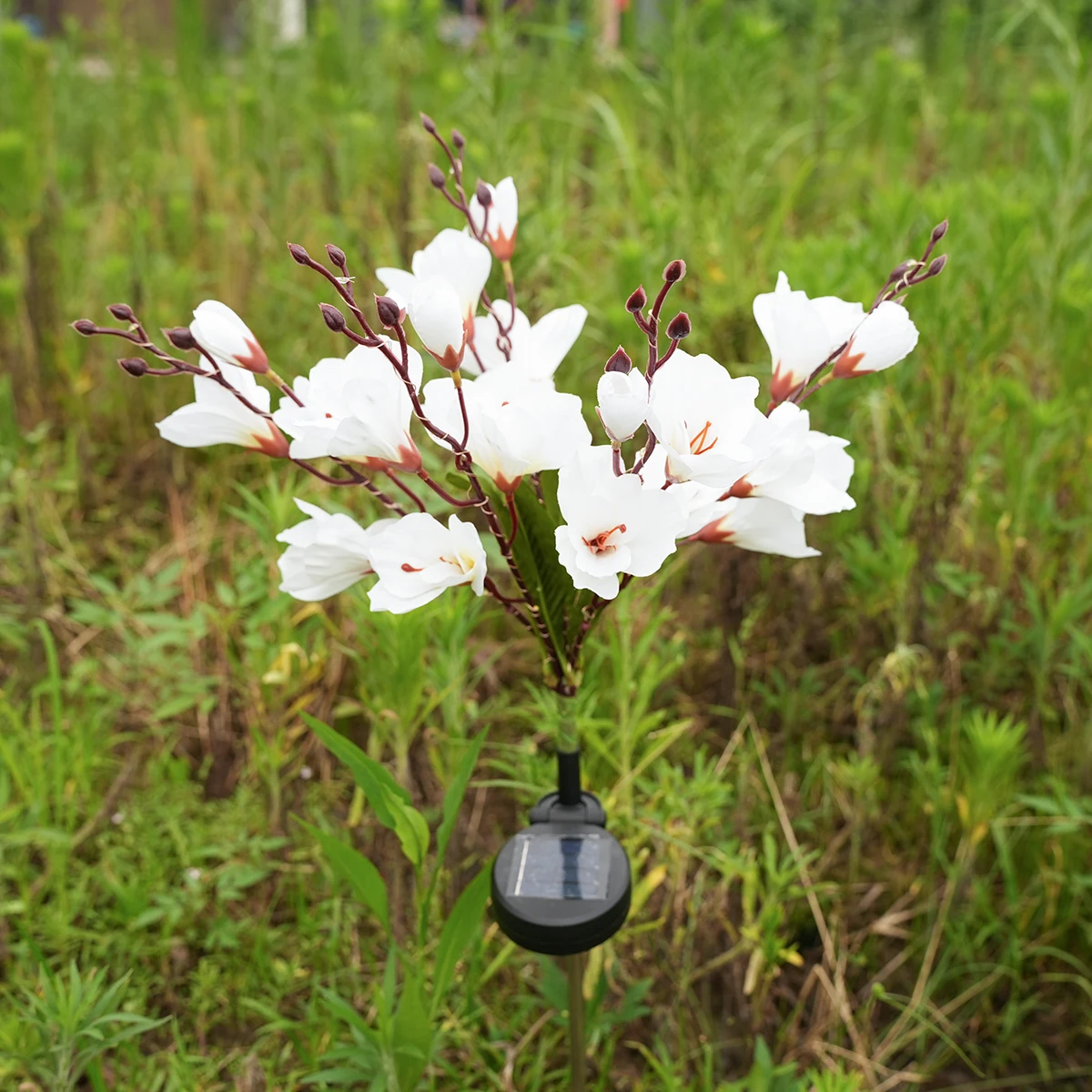 Водонепроницаемая Светодиодная Лампа С Цветком Магнолии На Солнечной Энергии