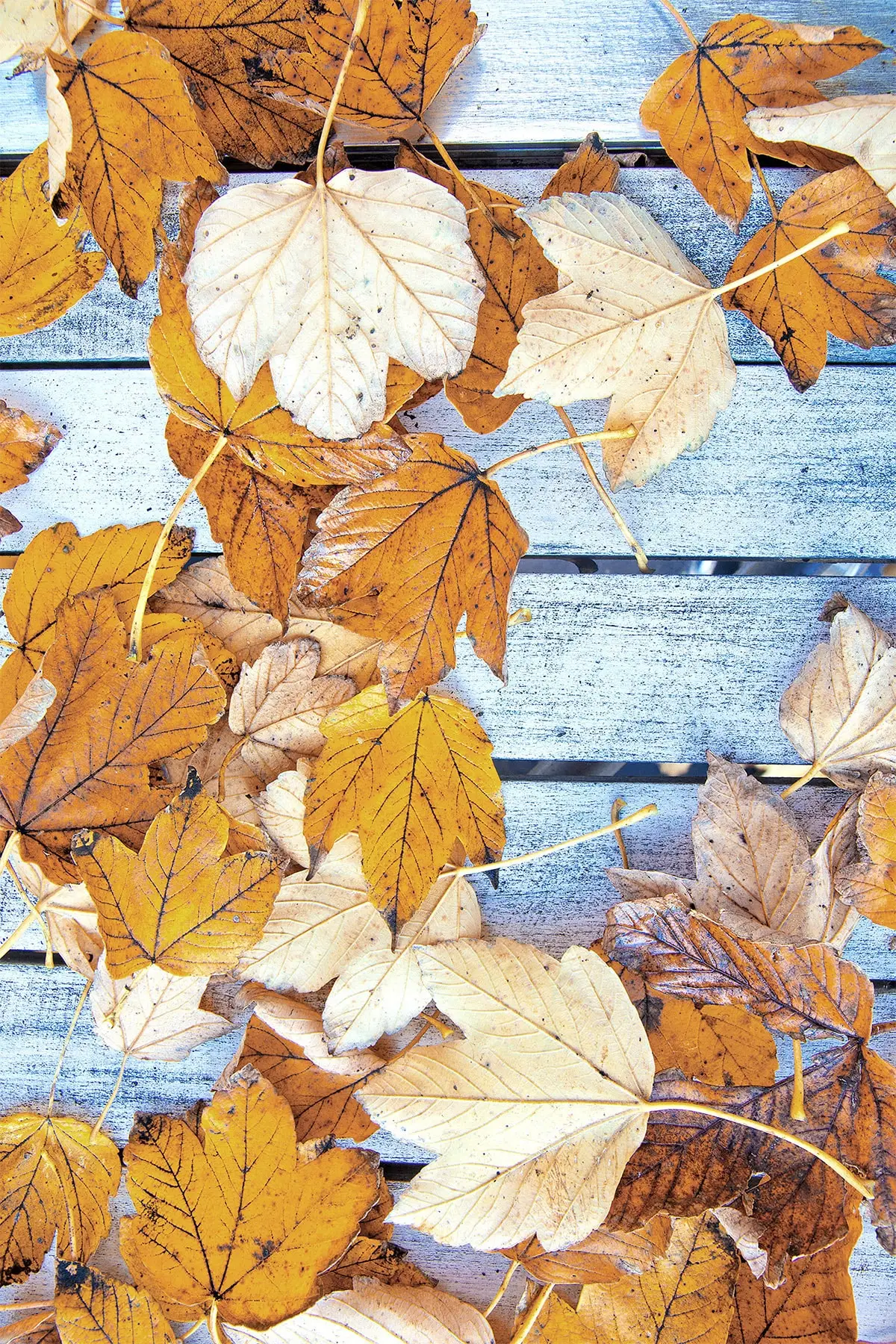 

Чехол для домашнего декора, чехол для ковровых покрытий, искусственных и осенних листьев, чехол для ковровых покрытий с цифровой печатью