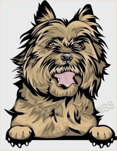 

For CAIRN TERRIER Peeking Dog Breed Color Window Wall Laptop Sticker w/proof