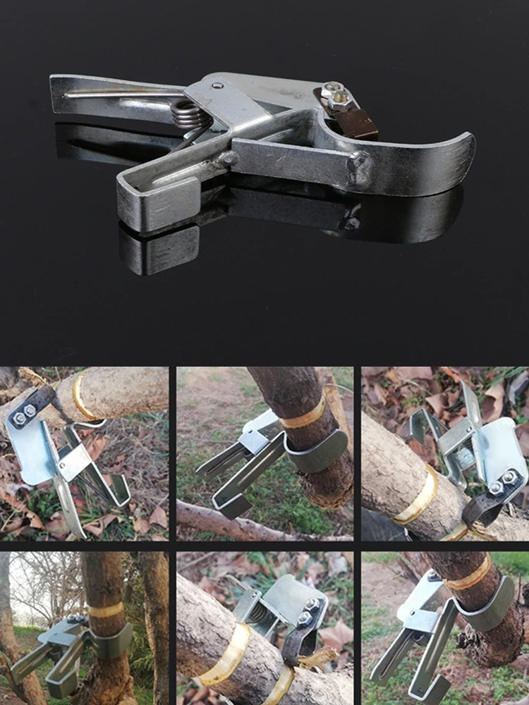 Инструмент для резки фруктовых деревьев в форме кольца |