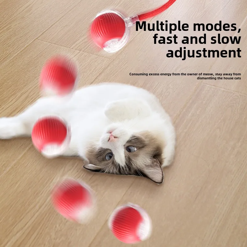 Имитация хвоста для кошек