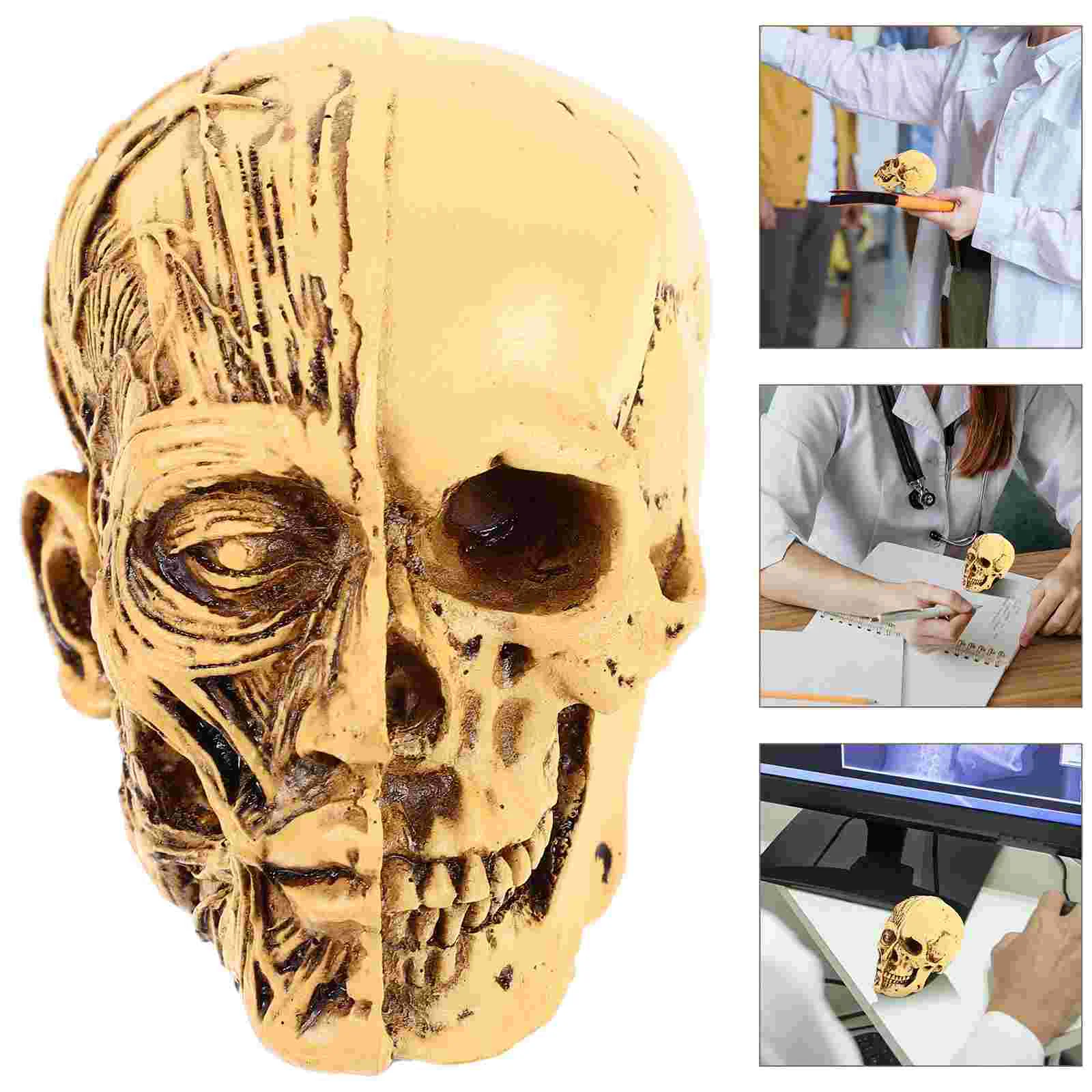 

Life Size Decor Resin Decoration Lifelike Human Model Haunted House Party Accessory Teaching Supplies
