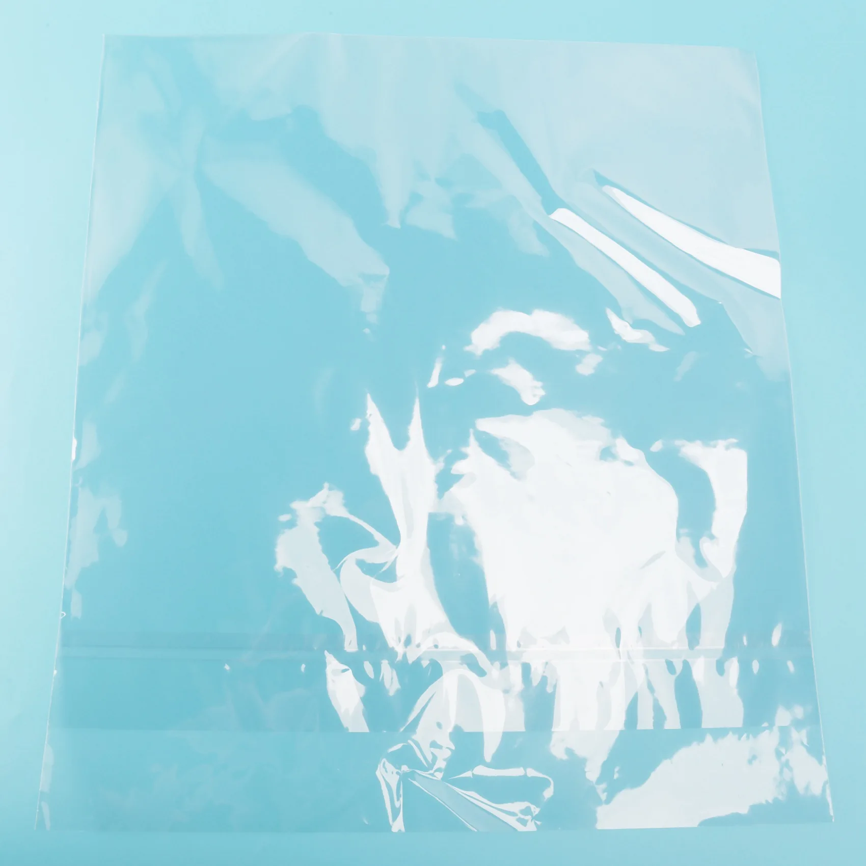 Гелевый защитный чехол для проигрывателей LP 50 шт