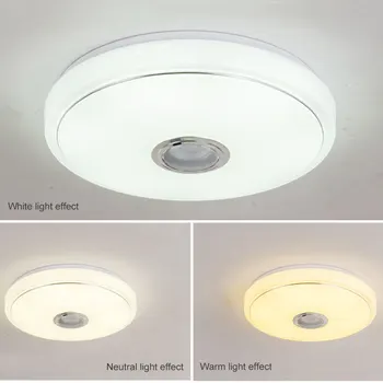 Bluetooth-Compatible Speaker Music Ceiling Light Phone APP Control 256 Colors Flush Down Lamp RGB Lights for Bedroom Living Room 2