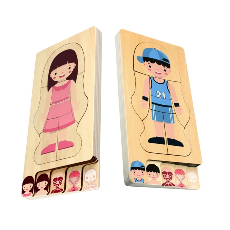 

Children Toys Wooden Human Body Puzzle Body Structure Children Puzzles Kids Toys
