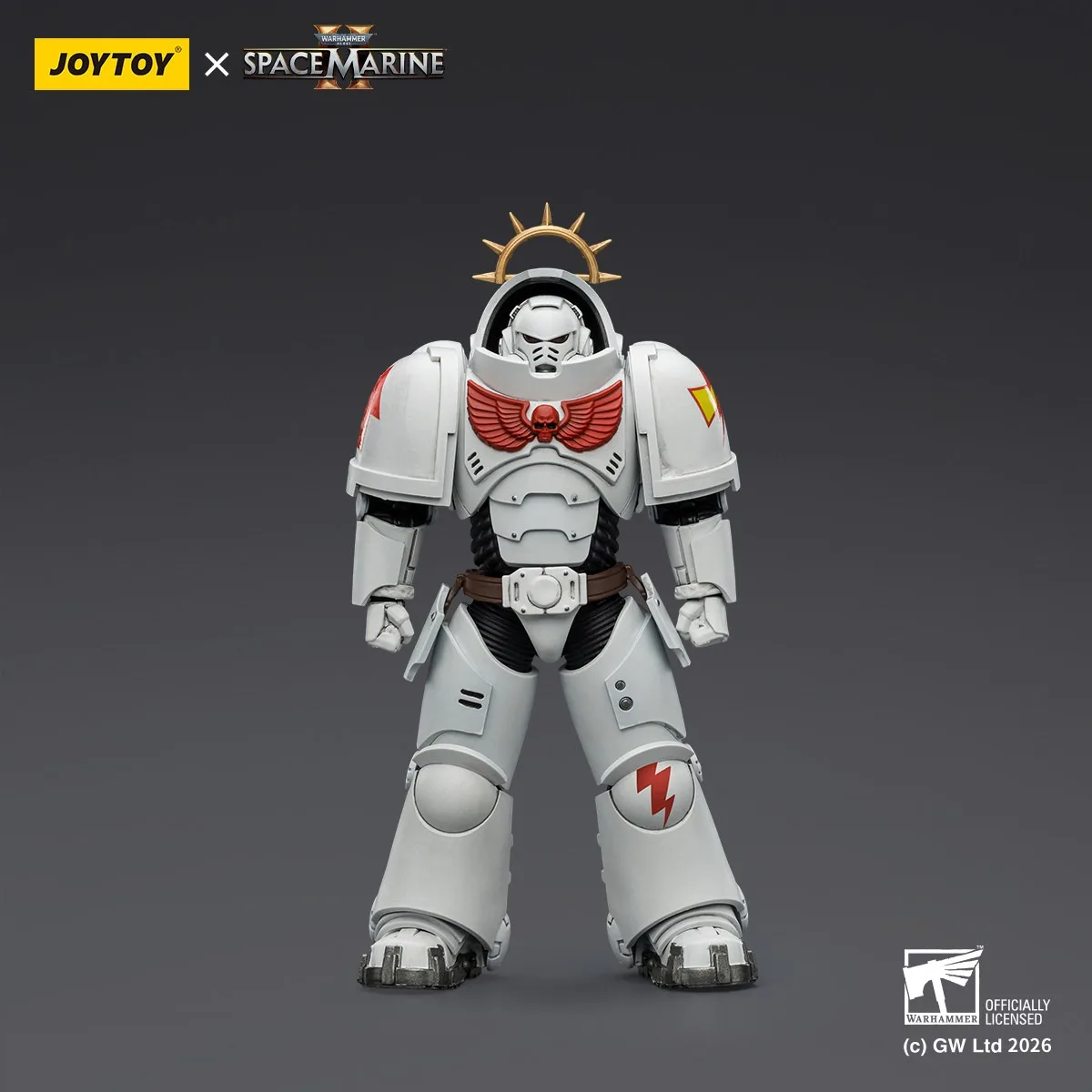 Фото Аксессуары JOYTOY Warhammer 1/18: Фигурка персонажа из игры White Scars Heavy Intercessor с тяжелой винтовкой и болтовкой. №2