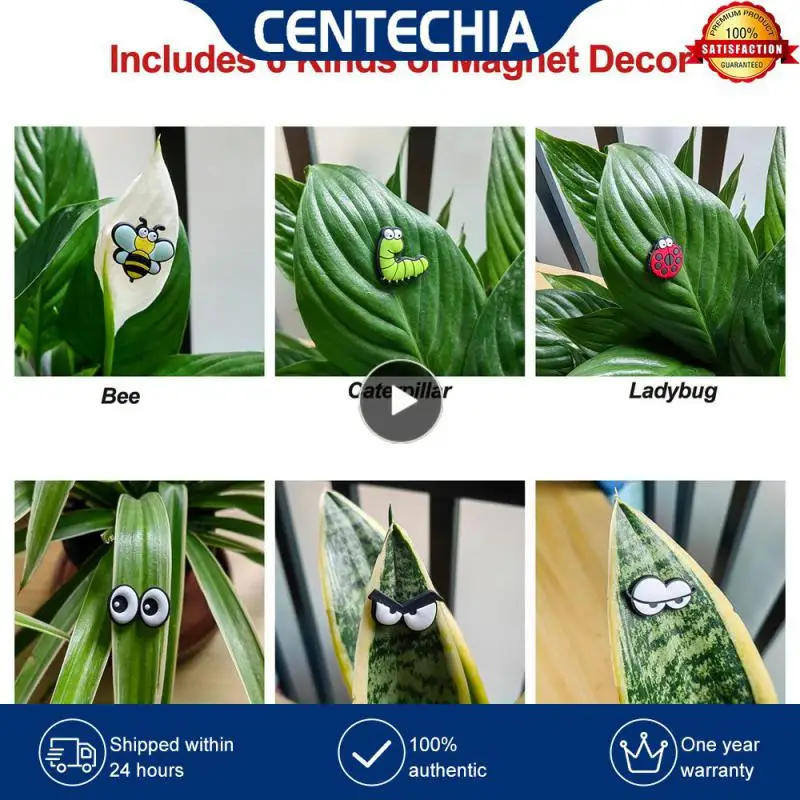

Water Proof Unique Gift Simple And Durable Plant Lovers Magnet Eyes Strong Magnet Eye Insect Magnet Decoration Material Safety