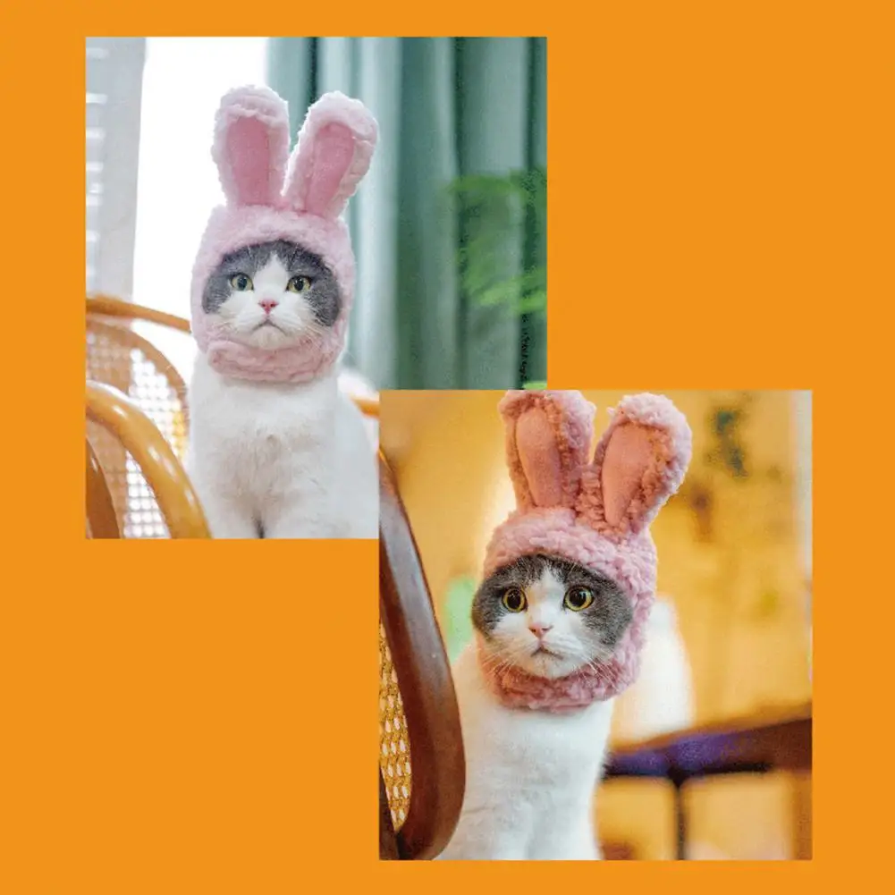

Ornamental Lightweight Comfortable Cartoon Rabbit Ears Cat Hat Pet Headwear for Daily Collocation Cat Hat Cat Headwear