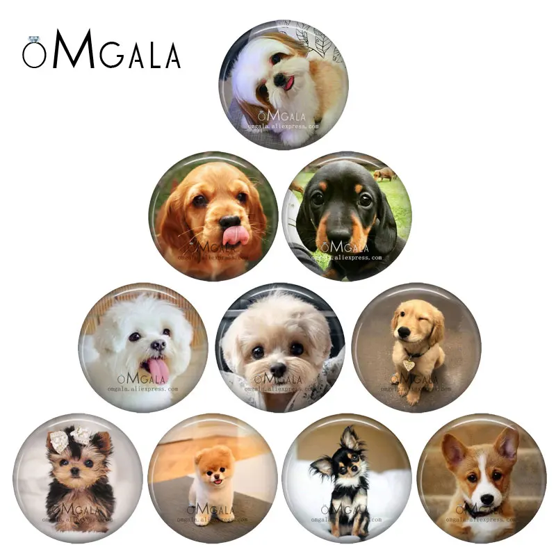 

Fashion Lovely Dogs Cartoon 10pcs 12mm/18mm/20mm/25mm Round photo glass cabochon demo flat back Making findings ZB0561