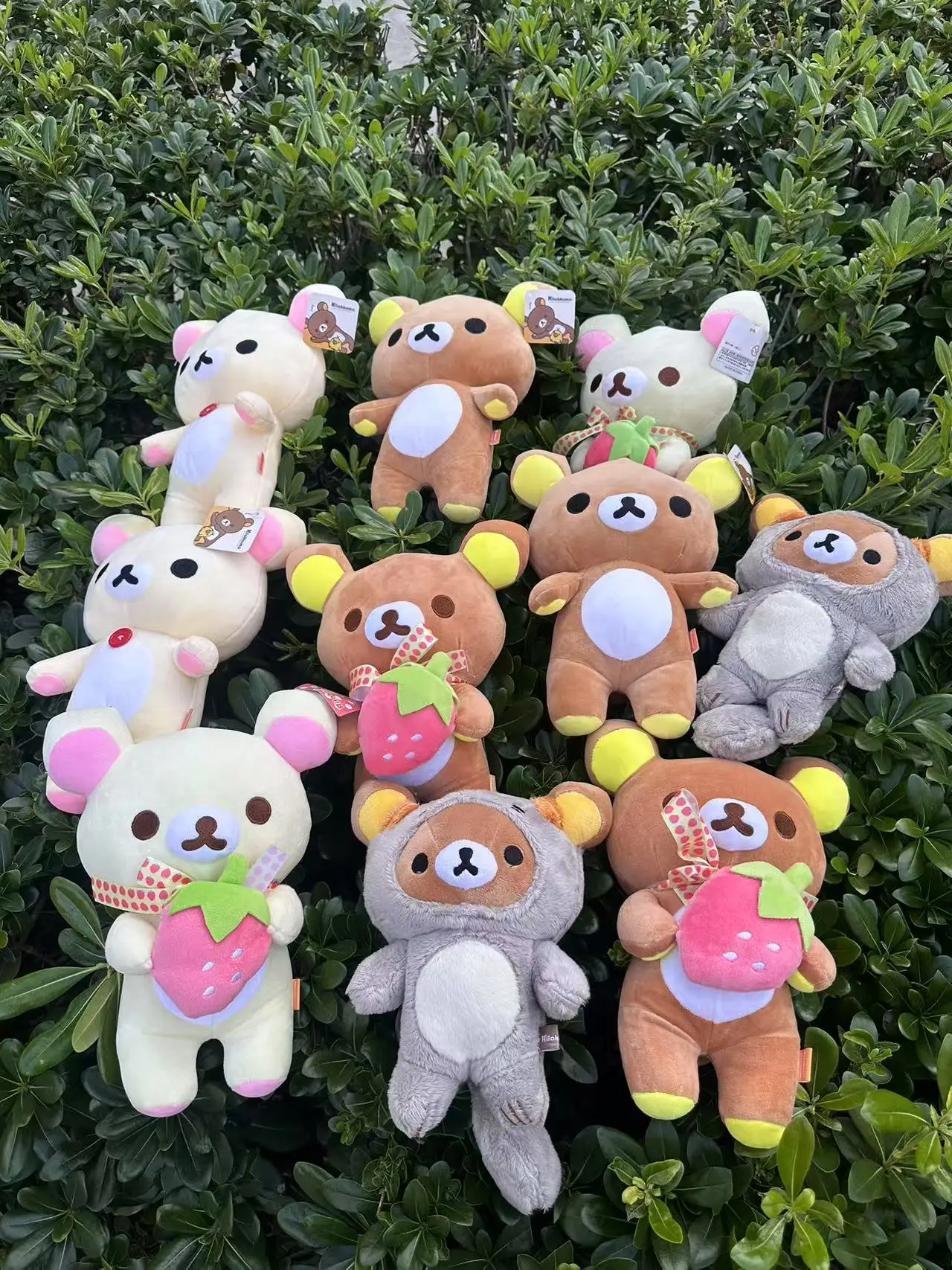 Фото 80 см Rilakkuma плюшевая игрушка плюшевый мишка чучело мультяшная подушка Kawaii декор комнаты подушка детские подарки на день рождения хобби №4