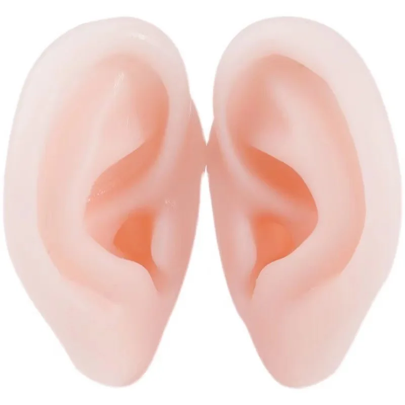 Silicone Ear Model Simulation Human Tattoo Piercing Practice Equipment Earrings Display Bracket Tasteless