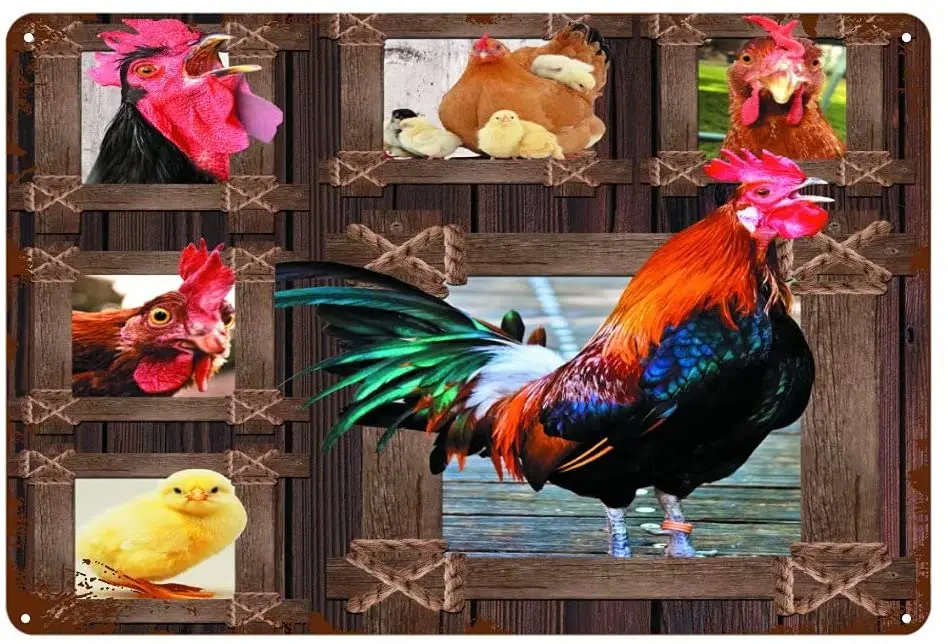 

Homega Farm Rooster Metal Sign,Farmhouse Chicken Metal Plaque Kitchen Sign Retro Vintage Wall Decor Metal Plate Bar Coop Sign 8x