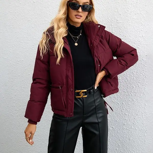 

2023 Women Stand Collar Simple Loose Straight Coat Solid Fashion Streetwear Parkas Female Clothing Zipper Warm Tops