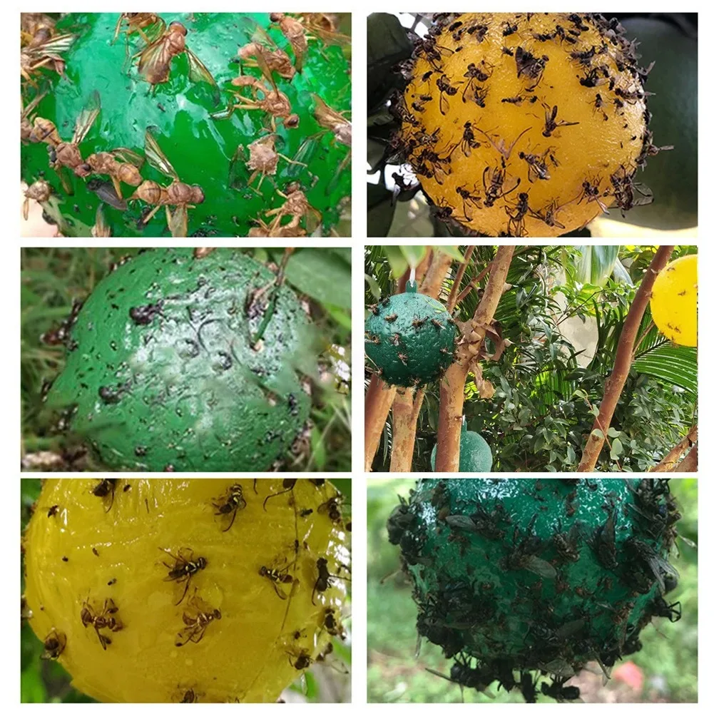 Подвесная ловушка для мух клей-шар насекомое фруктовая муха убийца насекомых