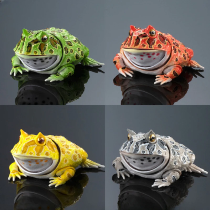 

New Gashapon Egg Big Biological Map of The Frog Frogs Batrachia Biology Movable Joint Model Gacha Japanese Anime Figure Toys