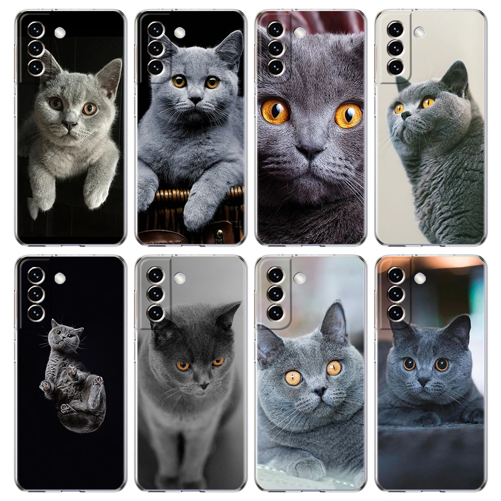

British Shorthair Cat Phone Case Cover for Samsung Galaxy S22 S21 S20 Ultra S21 S20 FE S22 S21 S20 S10 S9 Transparent Soft Shell