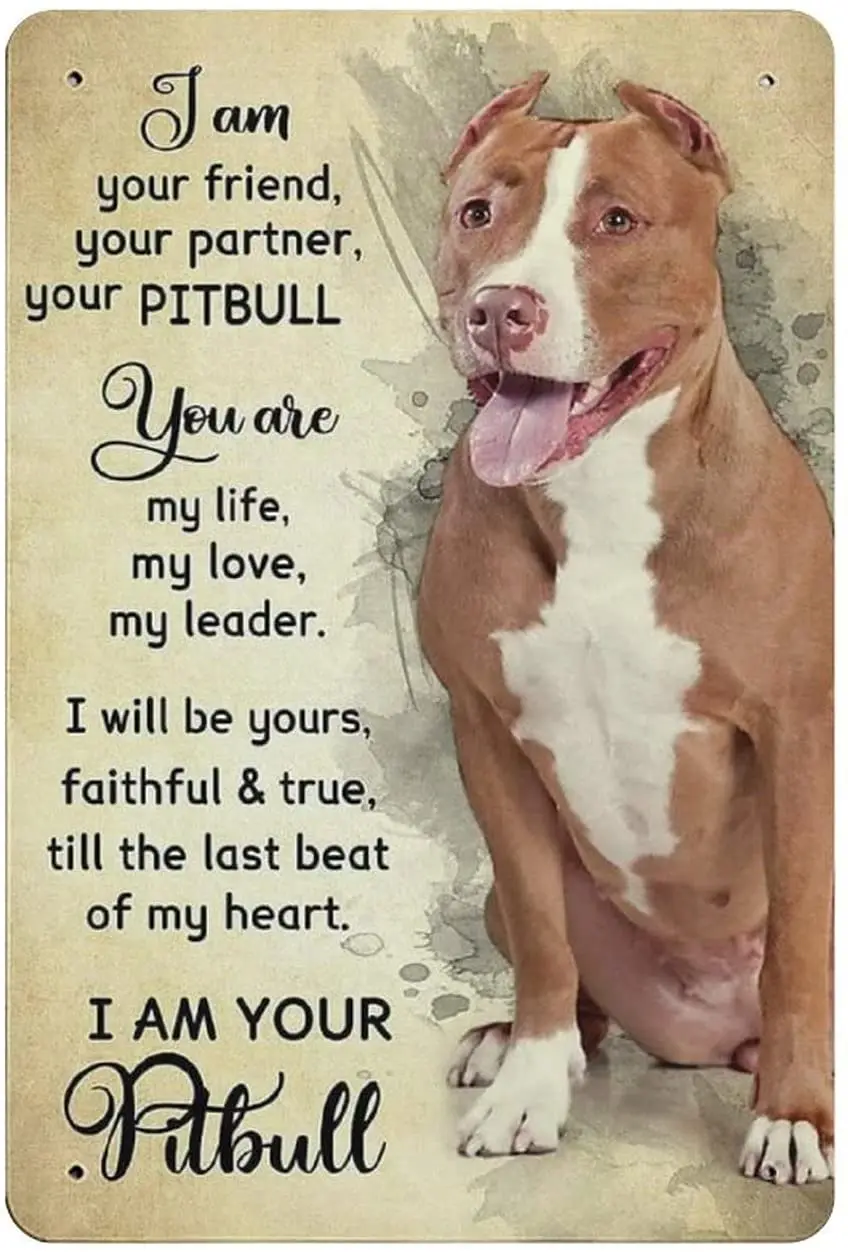 

Metal Tin Sign Pitbull Dog Vintage Tin Poster Metal Sign Wall Decoration Country Kitchen Home Garage Decor 12"x8"