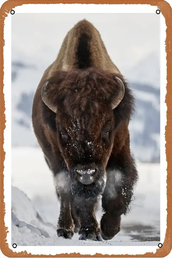 Металлические вывески Bison Incoming 8x12 Декор шикарное искусство Настенный декор для