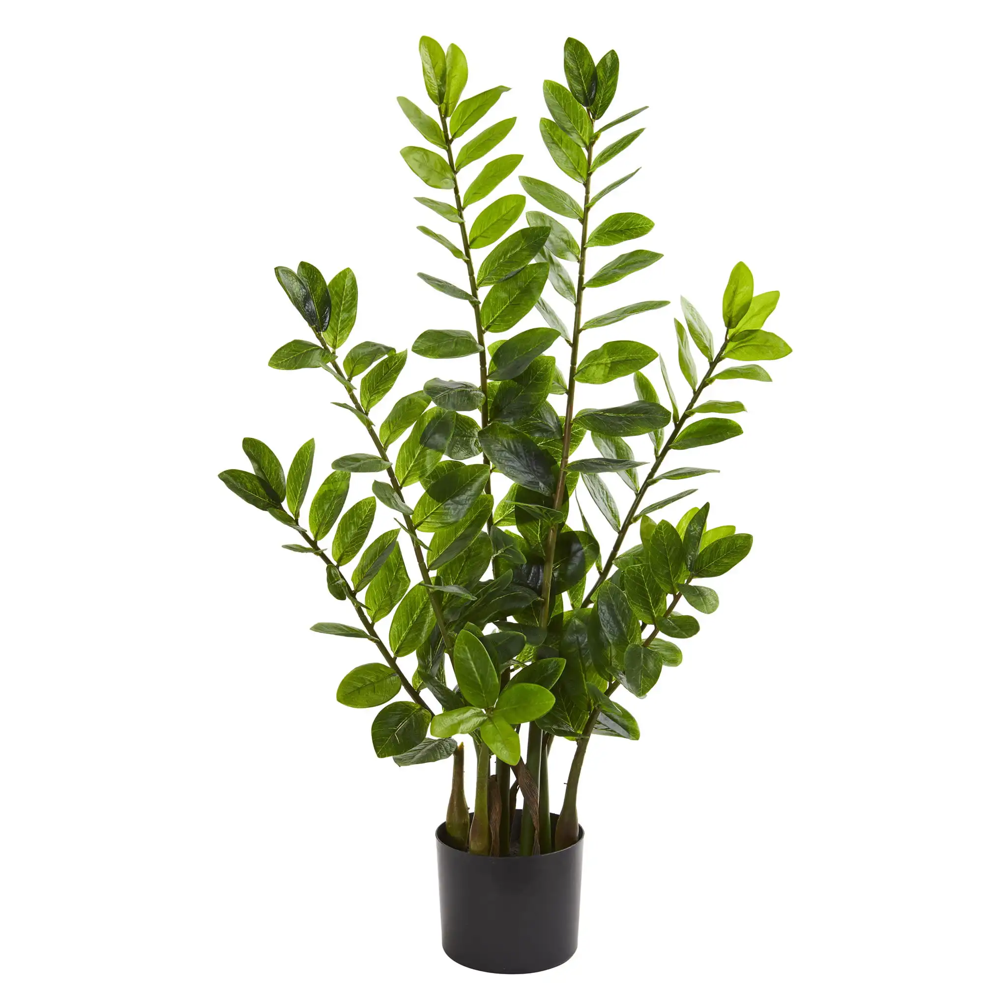 

Nearly Natural 3' Artificial Plant Zamioculcas Plastic Green