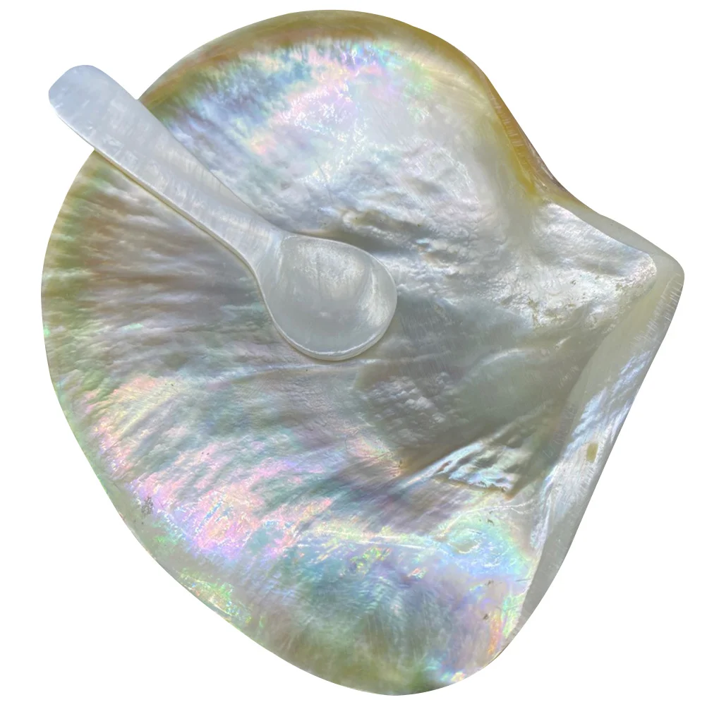 

Plate Dishes Plates Shell Appetizer Sushi Bowls Dipping Dessert Serving Tray Snack Seasoning Condiment Platters Salad Scallop