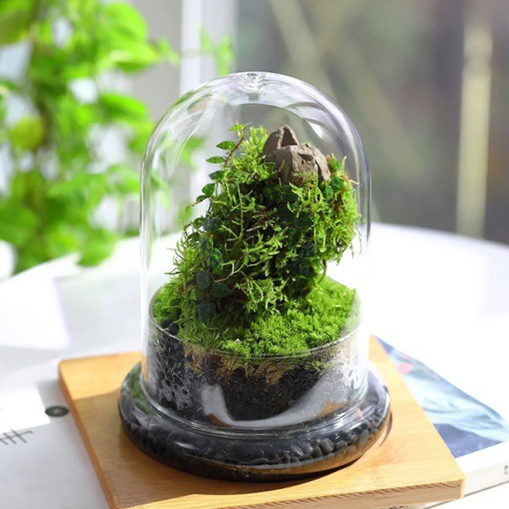 

Micro Landscape Vase Decorative Landscaping Container Glass Dome Base Terrarium Lid Plants Bottle Cloche Hydroponic For