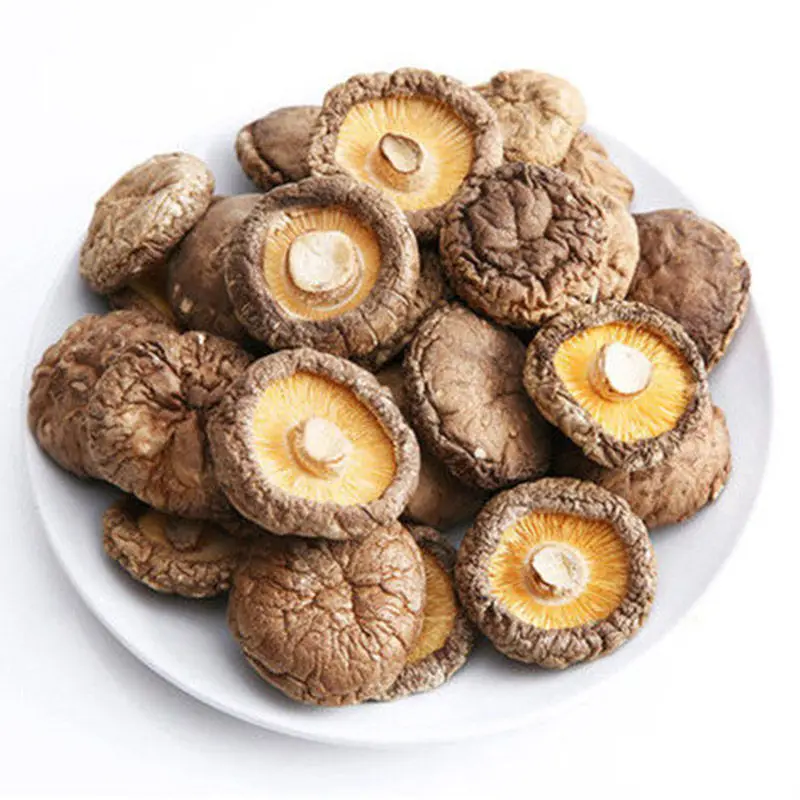 

High Quality Shiitake Lentinus Edodes.