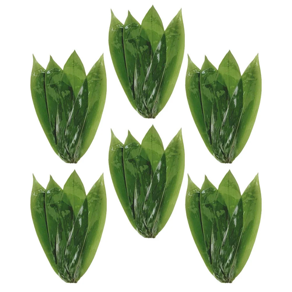 

50 Pcs Cold Dish Sashimi Leaves Decor Sushi Japanese Decor Shape Japanese Bamboo Plate Cooking Zongzi Japandi