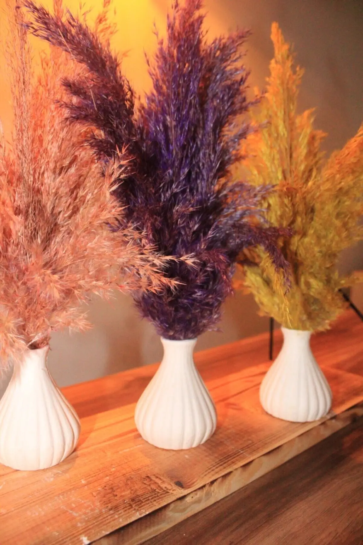 

Festive & Party Supplies