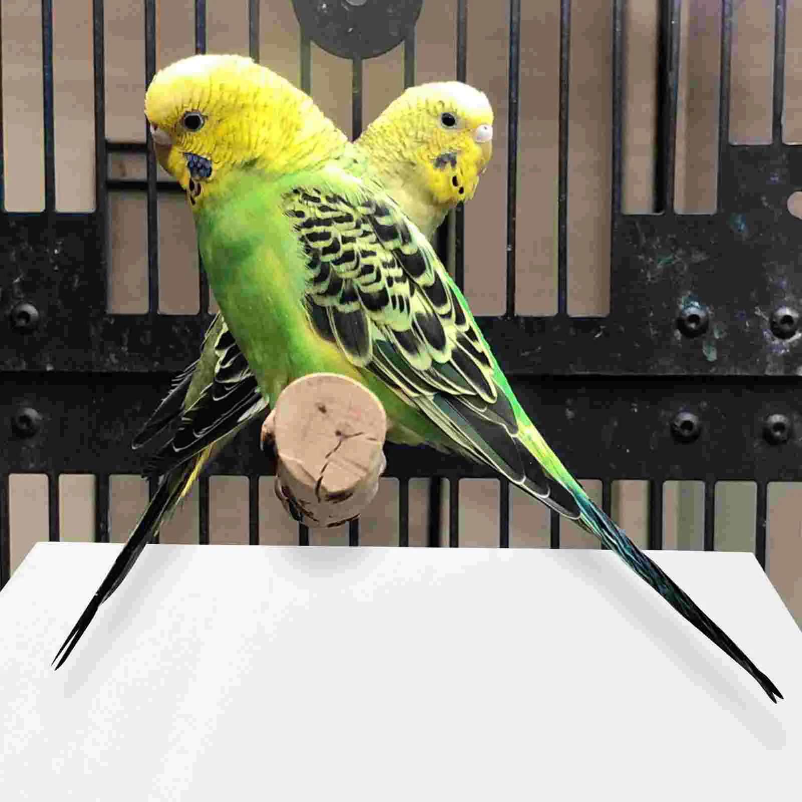 

Cage Bird Cushion Liner Liners Paper Pet Pad Mat Parrot Cages Disposable Tray Animal Parakeet Cleaning Sheet Litter Covers