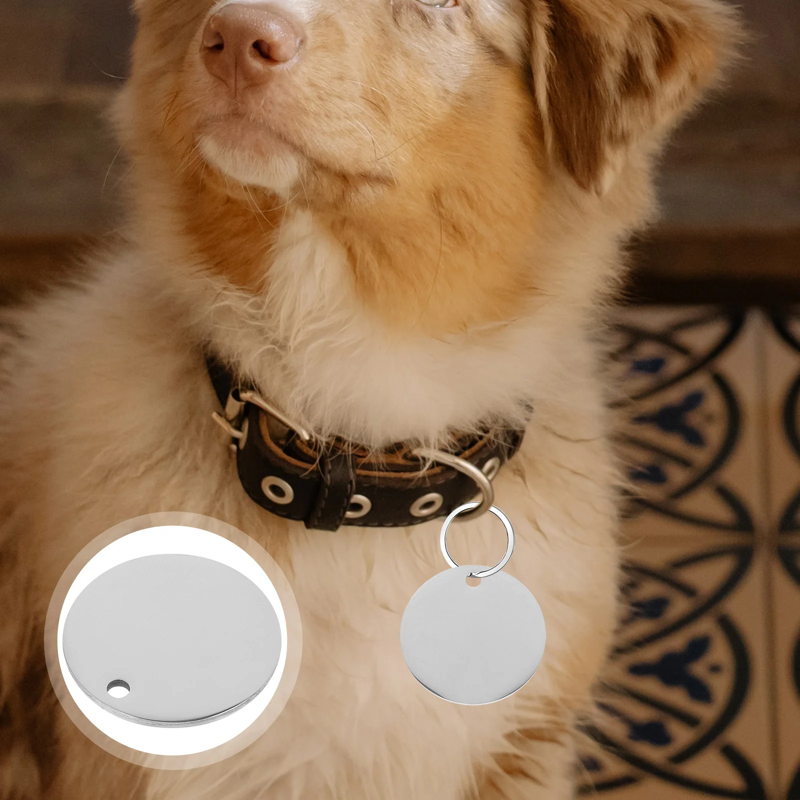 

Blank Dog Tag Tags Pet Id Stamping Name Pendant Puppy Round Engraving Jewelry Kit Clasp Necklace