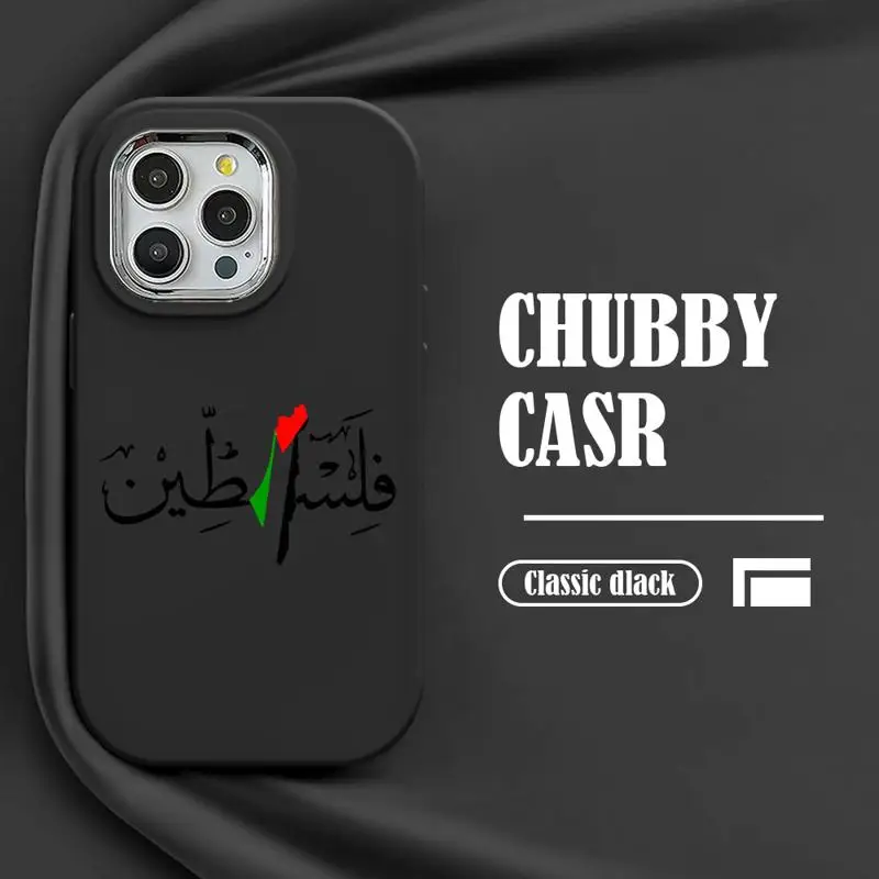 чехол для телефона Apple iPhone 15 14 Pro funda 11 Max 12 Plus 13pro max 15plus 11pro coque Cover Pale Stine Flag Map Passport