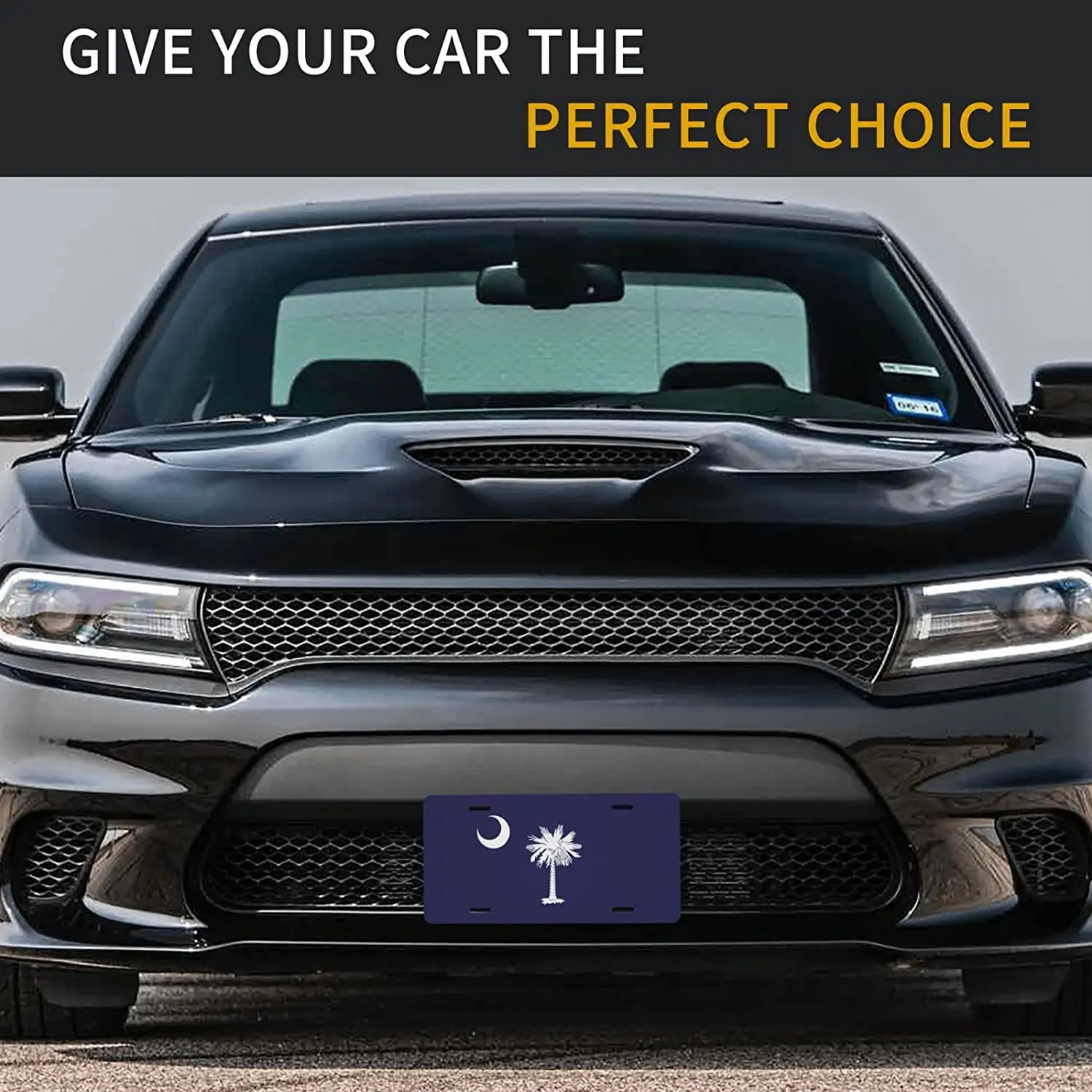 Номерные знаки Puibun декоративные номерные для мужчин/женщин/мужчин/мальчиков 6X12