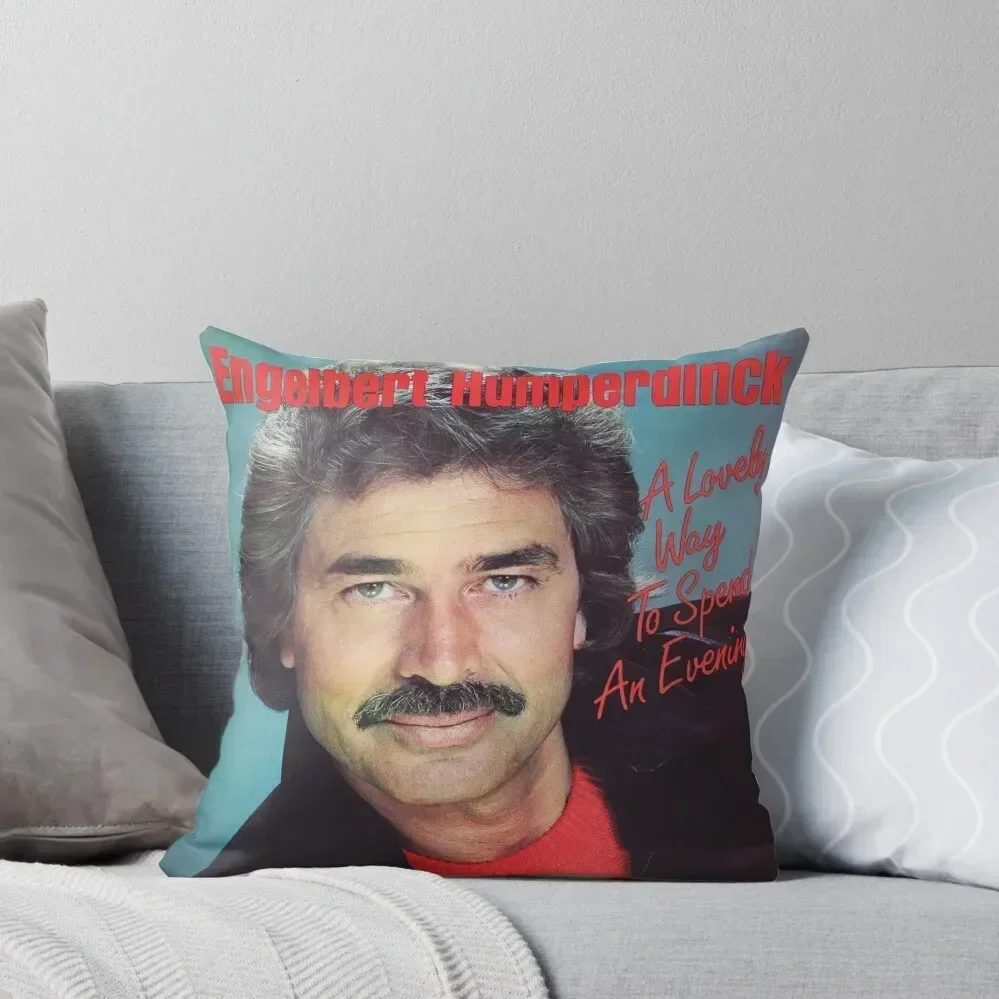 Прекрасный путь чтобы spend вечер. Декоративная подушка. Роскошная наволочка.